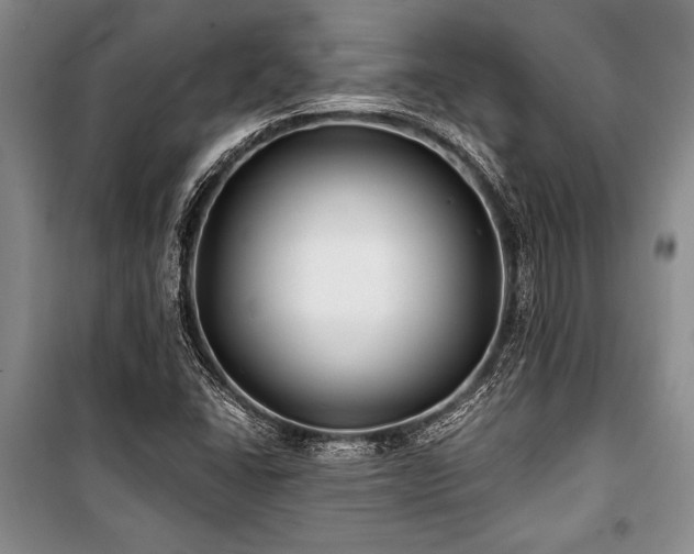 X0000101141406200806270909