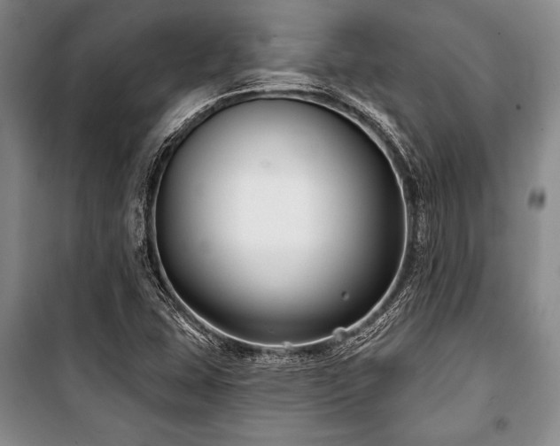 X0000101141407200806270909