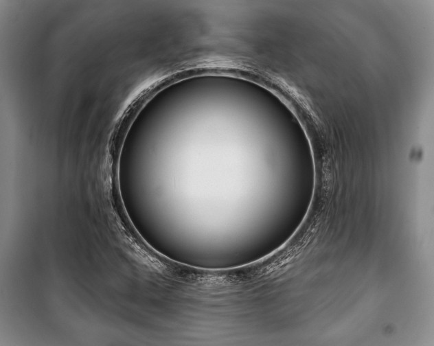 X0000101141408200806270909