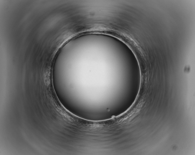 X0000101141409200806270909