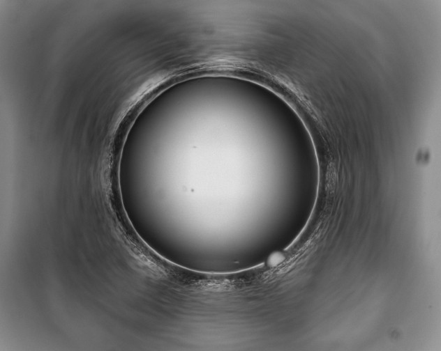 X0000101141410200806270909