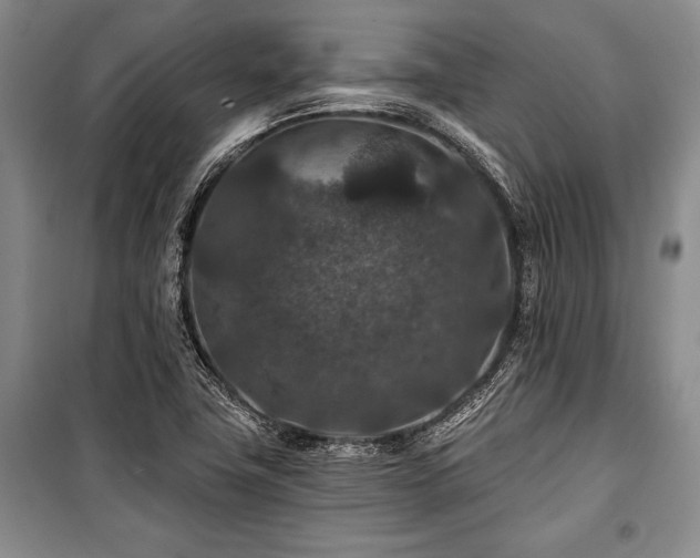 X0000101141411200806270909