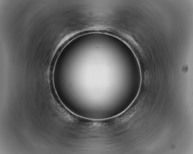 X0000101141412200806270909