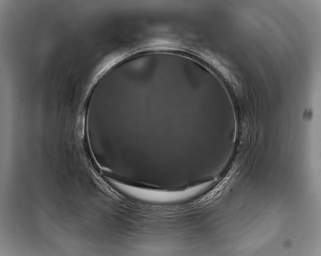 X0000101141413200806270909