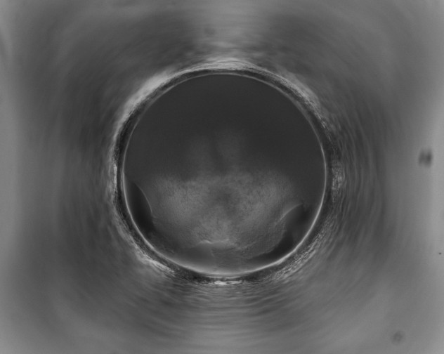 X0000101141414200806270909