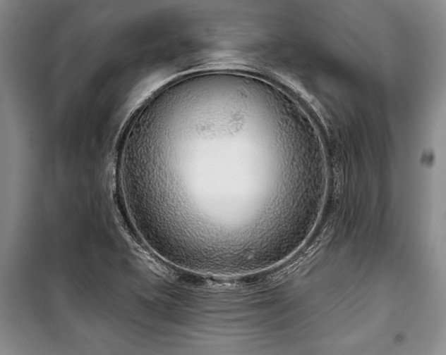 X0000101141415200806270909