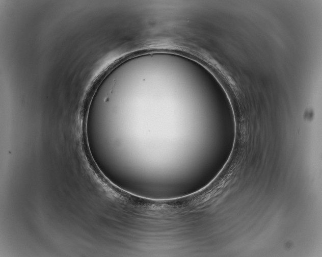 X0000101141416200806270909