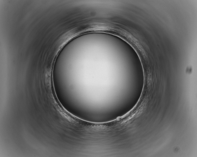 X0000101141417200806270909