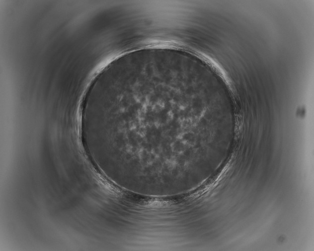 X0000101141419200806270909