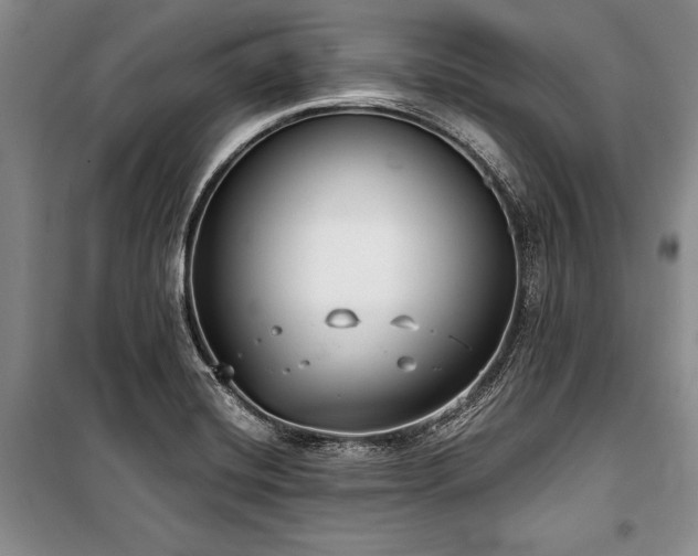 X0000101141420200806270909