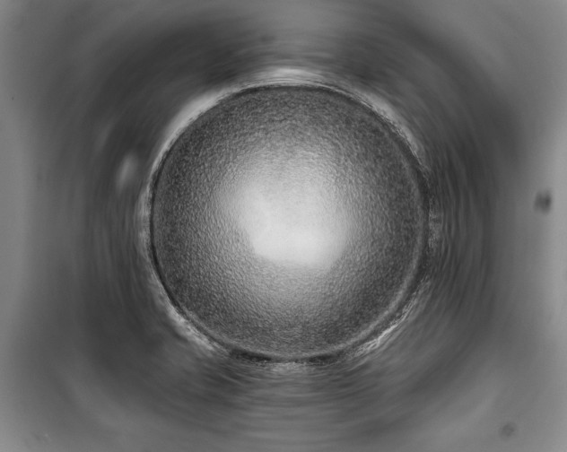 X0000101141421200806270909