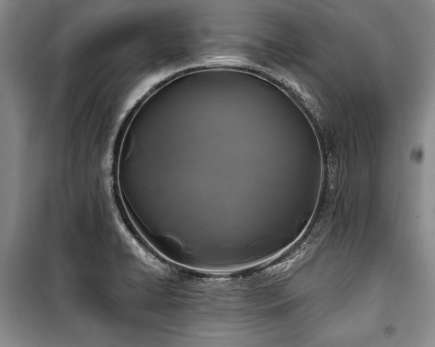 X0000101141422200806270909