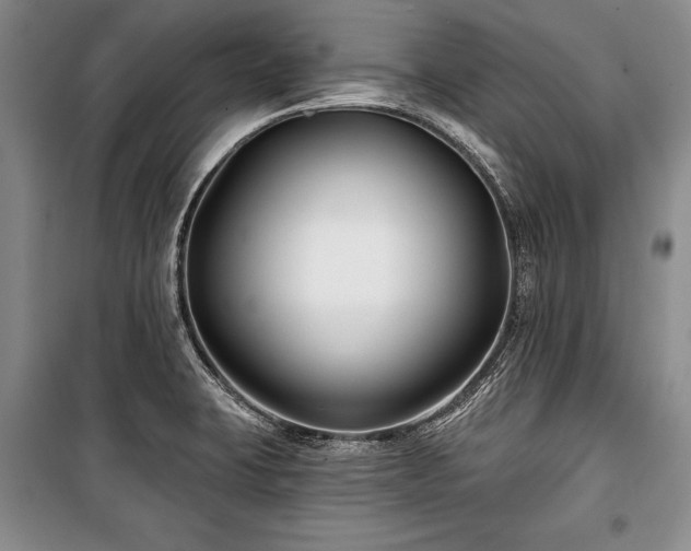 X0000101141423200806270909