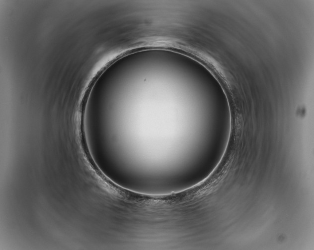 X0000101141424200806270909