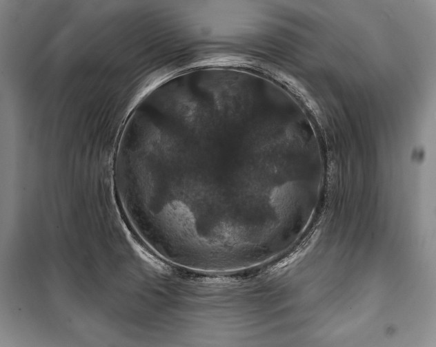 X0000101141425200806270909