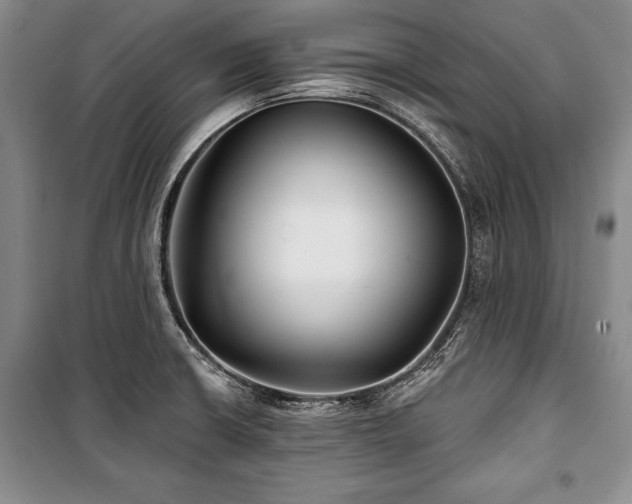 X0000101141426200806270909