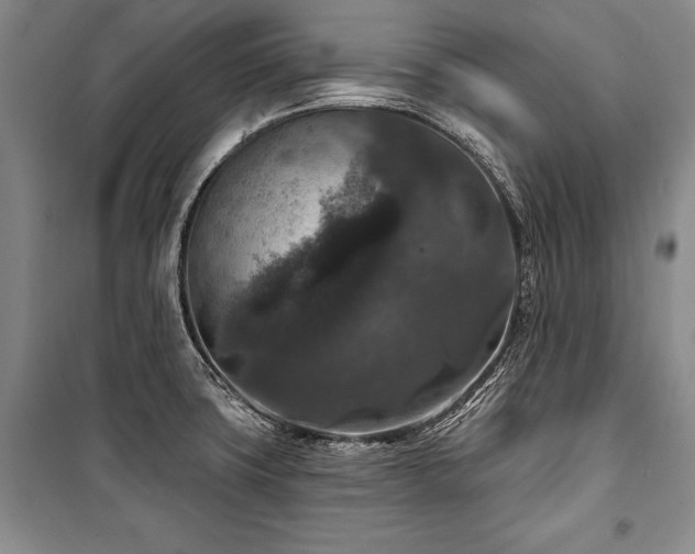 X0000101141427200806270909