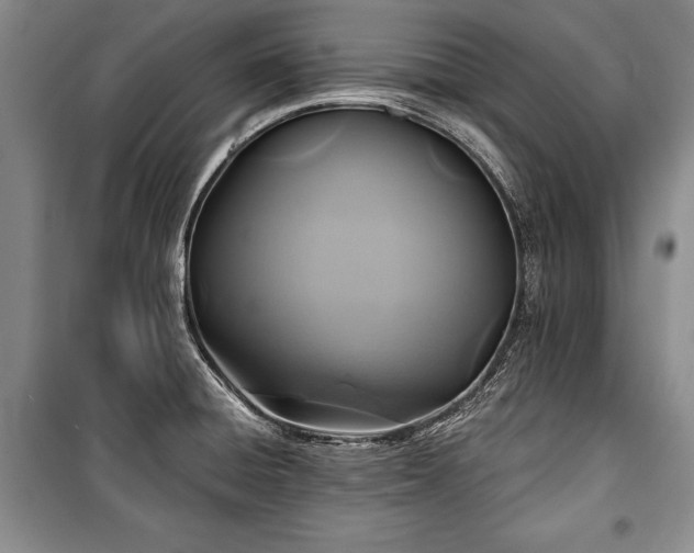 X0000101141428200806270909