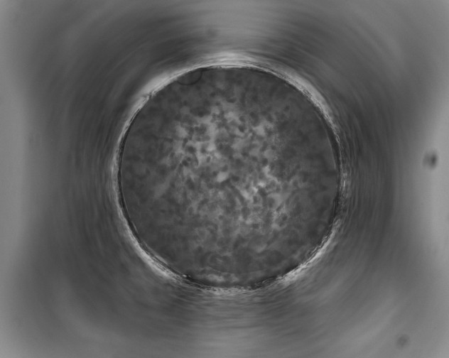 X0000101141429200806270909