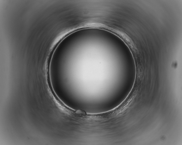 X0000101141430200806270909