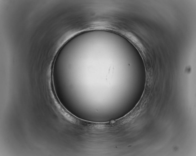 X0000101141431200806270909