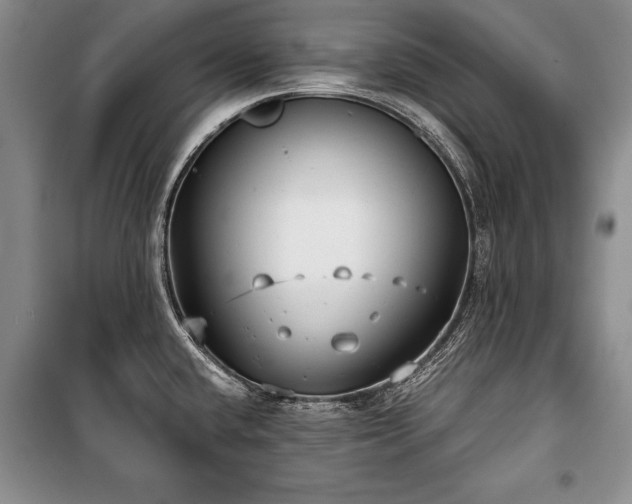 X0000101141432200806270909