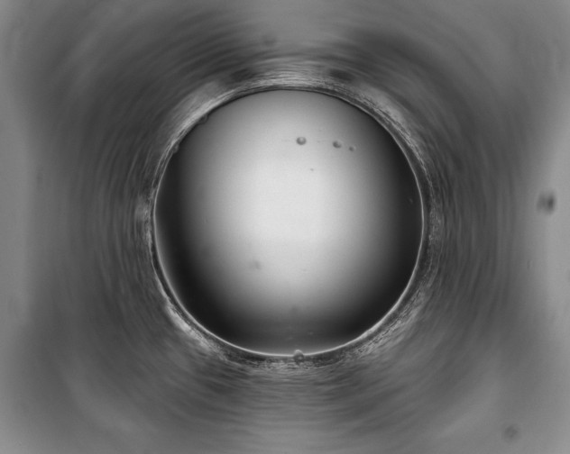 X0000101141433200806270909