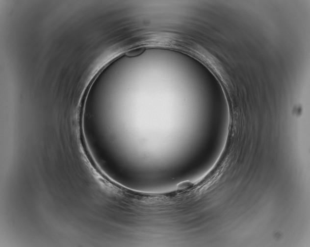 X0000101141434200806270909