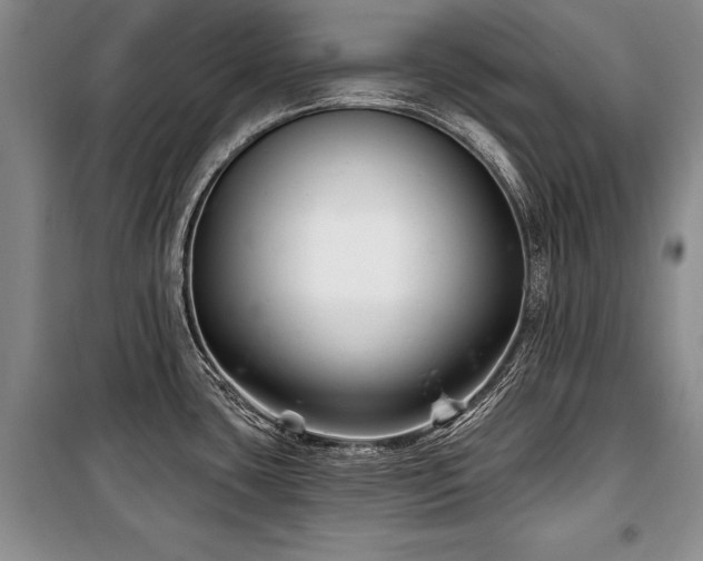 X0000101141435200806270909