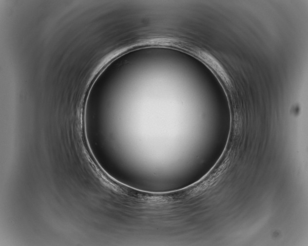 X0000101141436200806270909