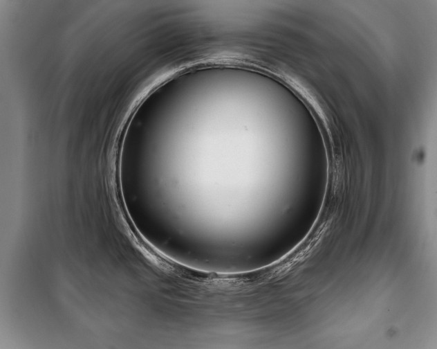 X0000101141437200806270909