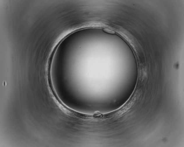 X0000101141438200806270909