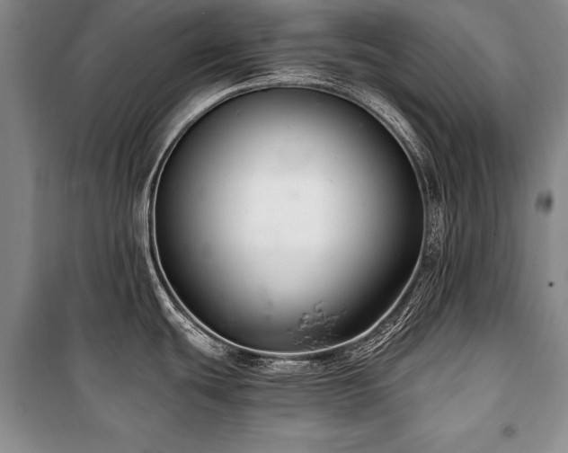 X0000101141439200806270909