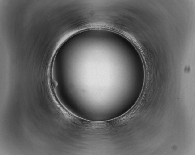 X0000101141440200806270909