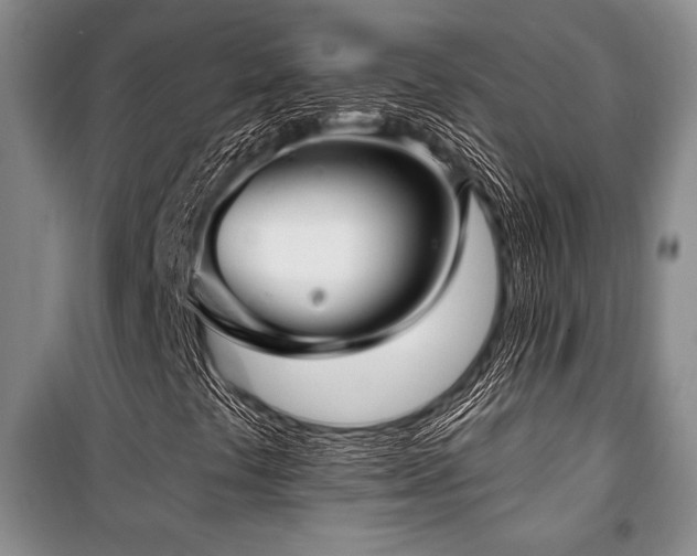 X0000101141441200806270909