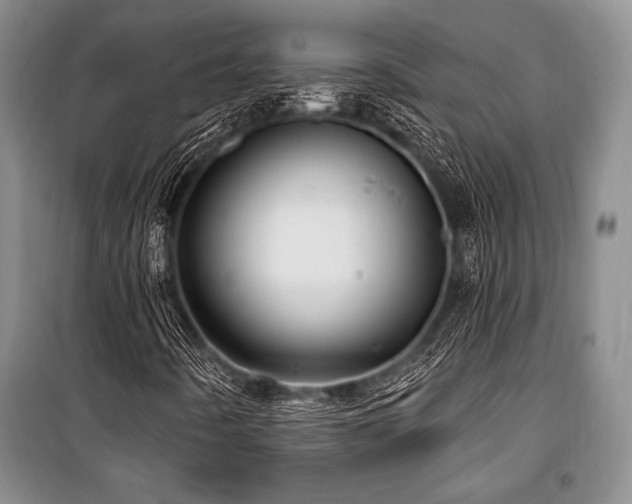 X0000101141442200806270909