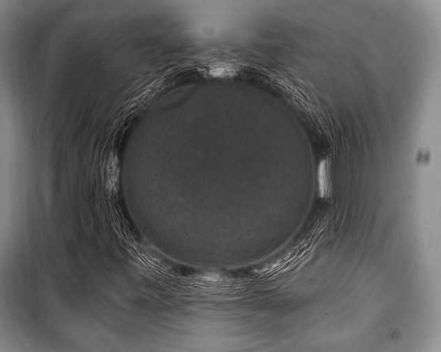 X0000101141443200806270909