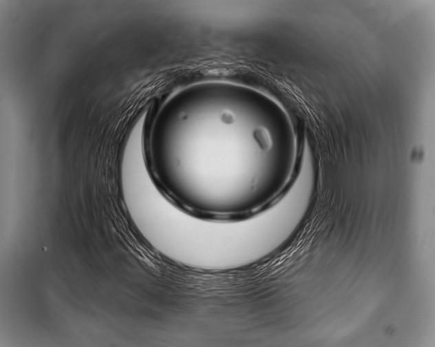 X0000101141444200806270909