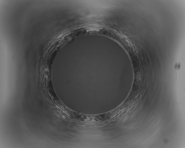 X0000101141445200806270909