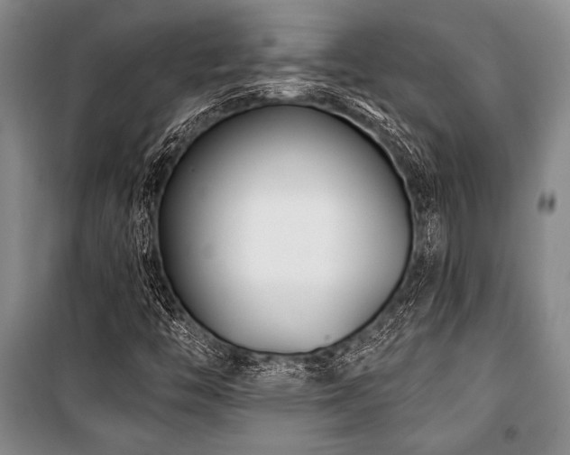 X0000101141446200806270909