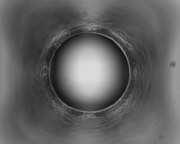 X0000101141447200806270909