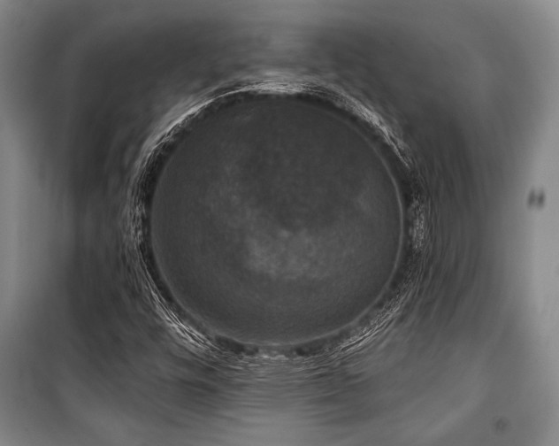 X0000101141448200806270909