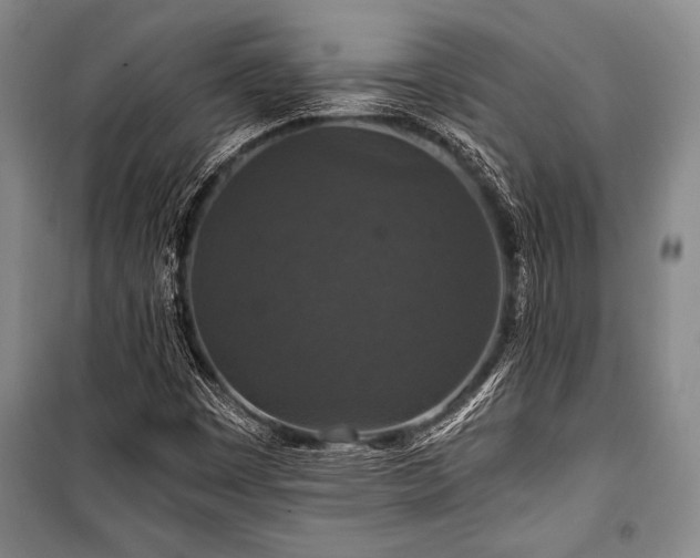 X0000101141449200806270909