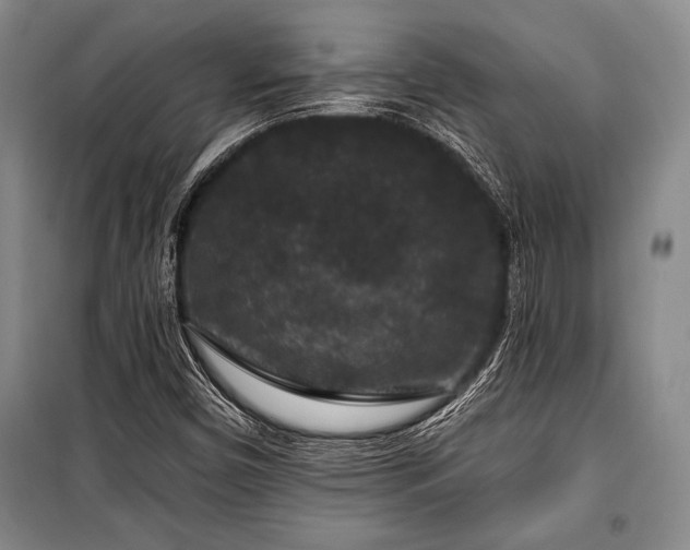 X0000101141450200806270909