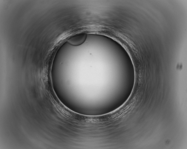 X0000101141451200806270909