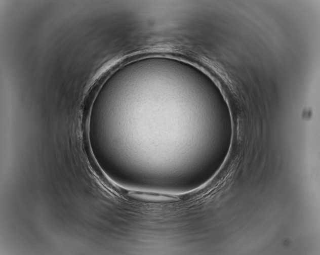 X0000101141452200806270909