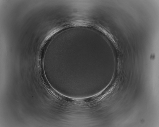 X0000101141453200806270909