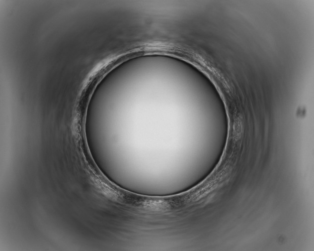 X0000101141454200806270908