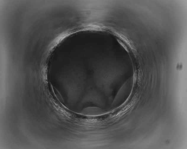 X0000101141455200806270908