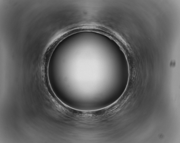 X0000101141456200806270908